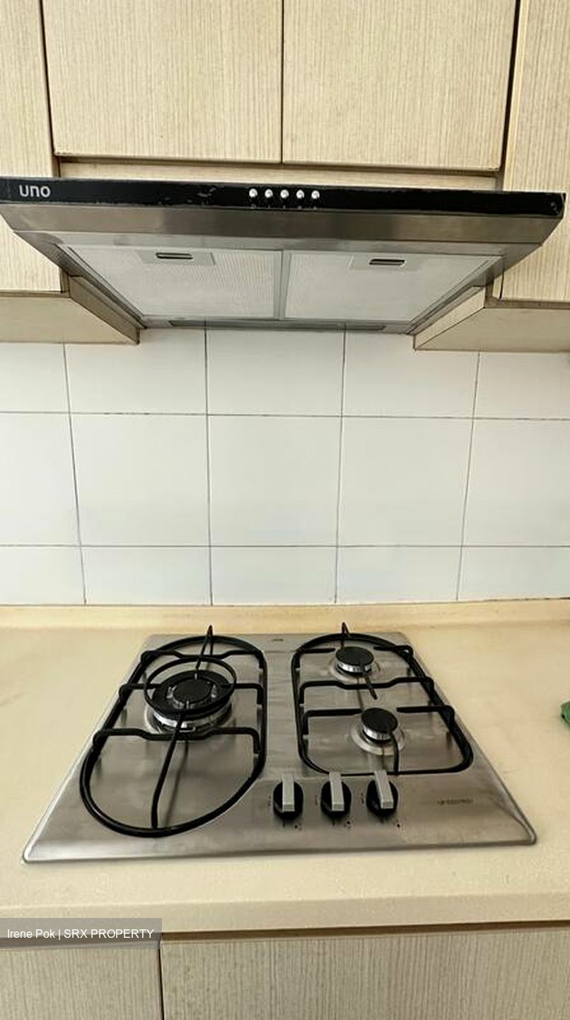 Blk 1 The Pinnacle@Duxton (Bukit Merah), HDB 5 Rooms #482279761